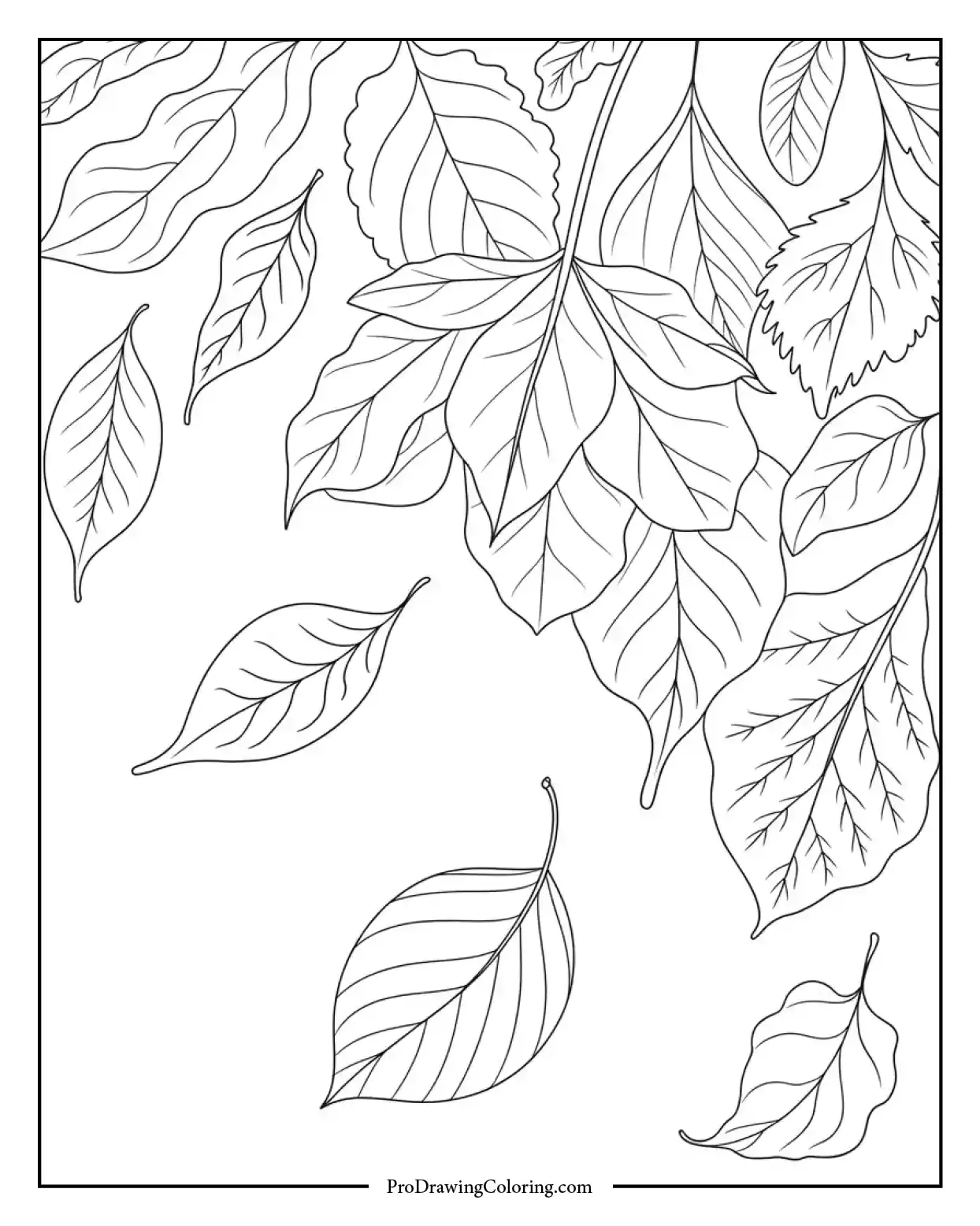 Creative fall coloring design with large autumn leaves floating in the wind.