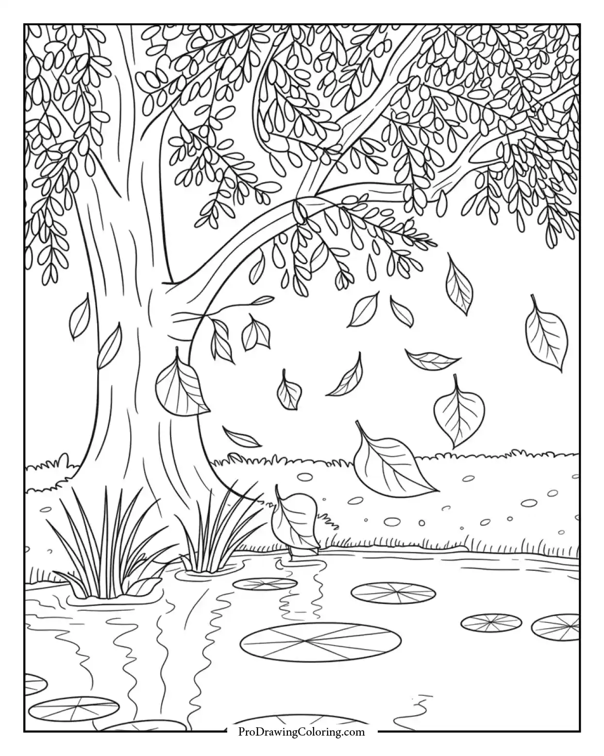 Family-friendly fall coloring sketch of tree shedding leaves beside a small pond.