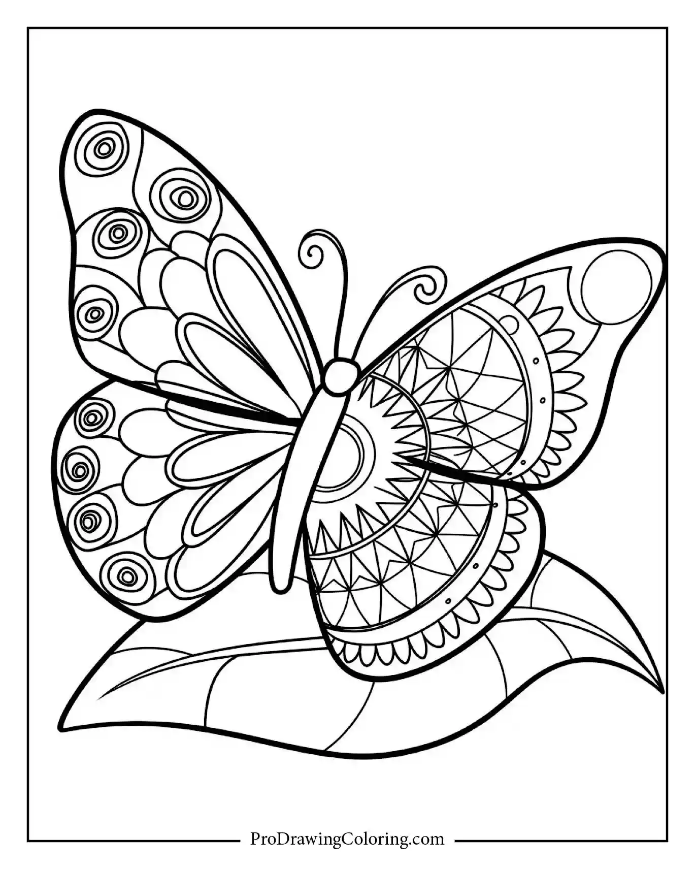 Art butterfly with geometric wings sitting on leaf, garden themed coloring page.