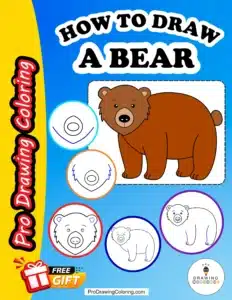 Bear tutorial pages inside a simple bear drawing PDF guide provided by Pro Drawing Coloring.