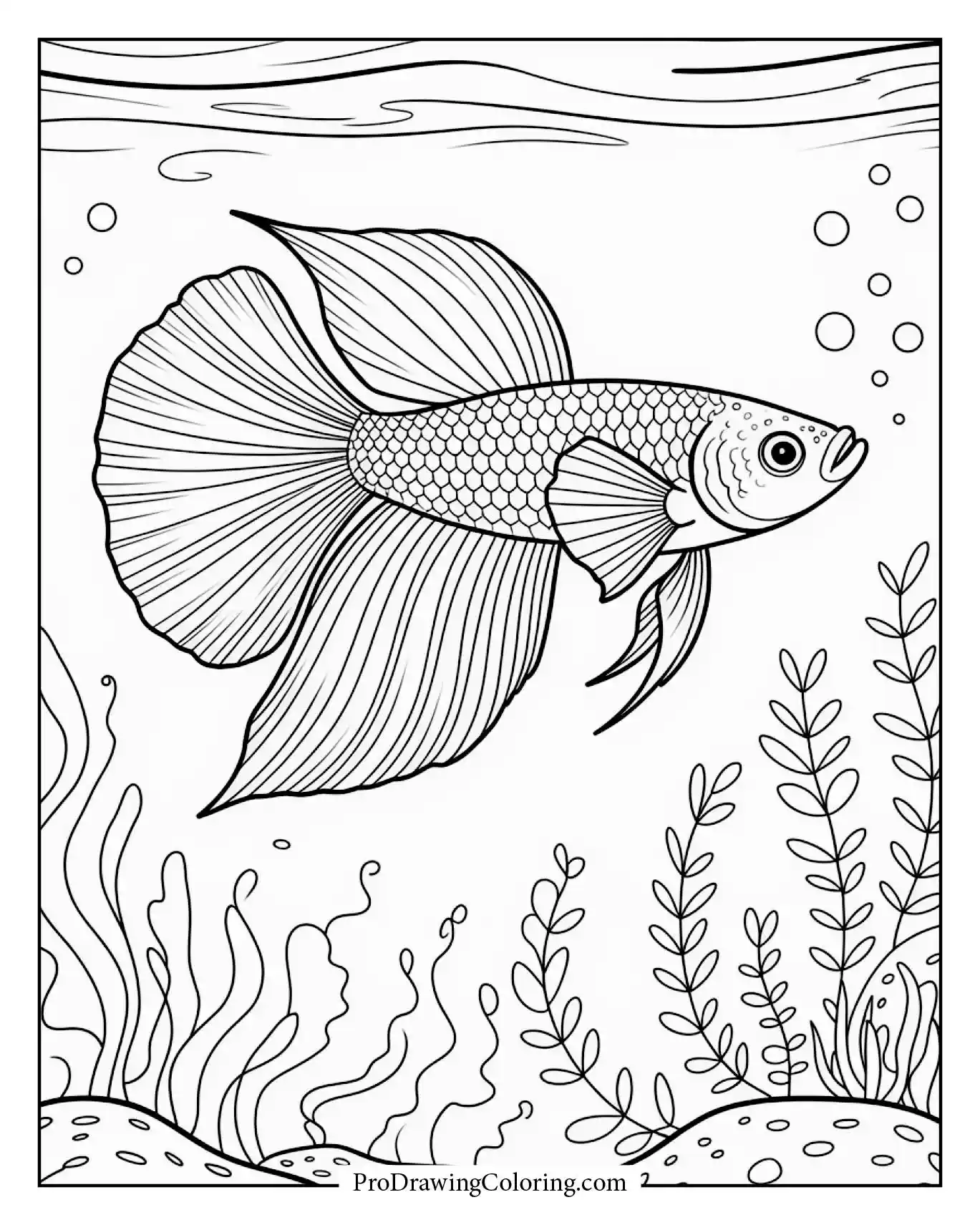 Beautiful betta fish with flowing fins underwater