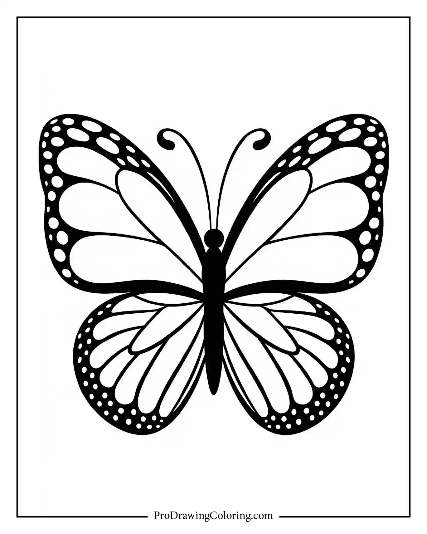 Bold dark outlined butterfly with curved segmented wings.