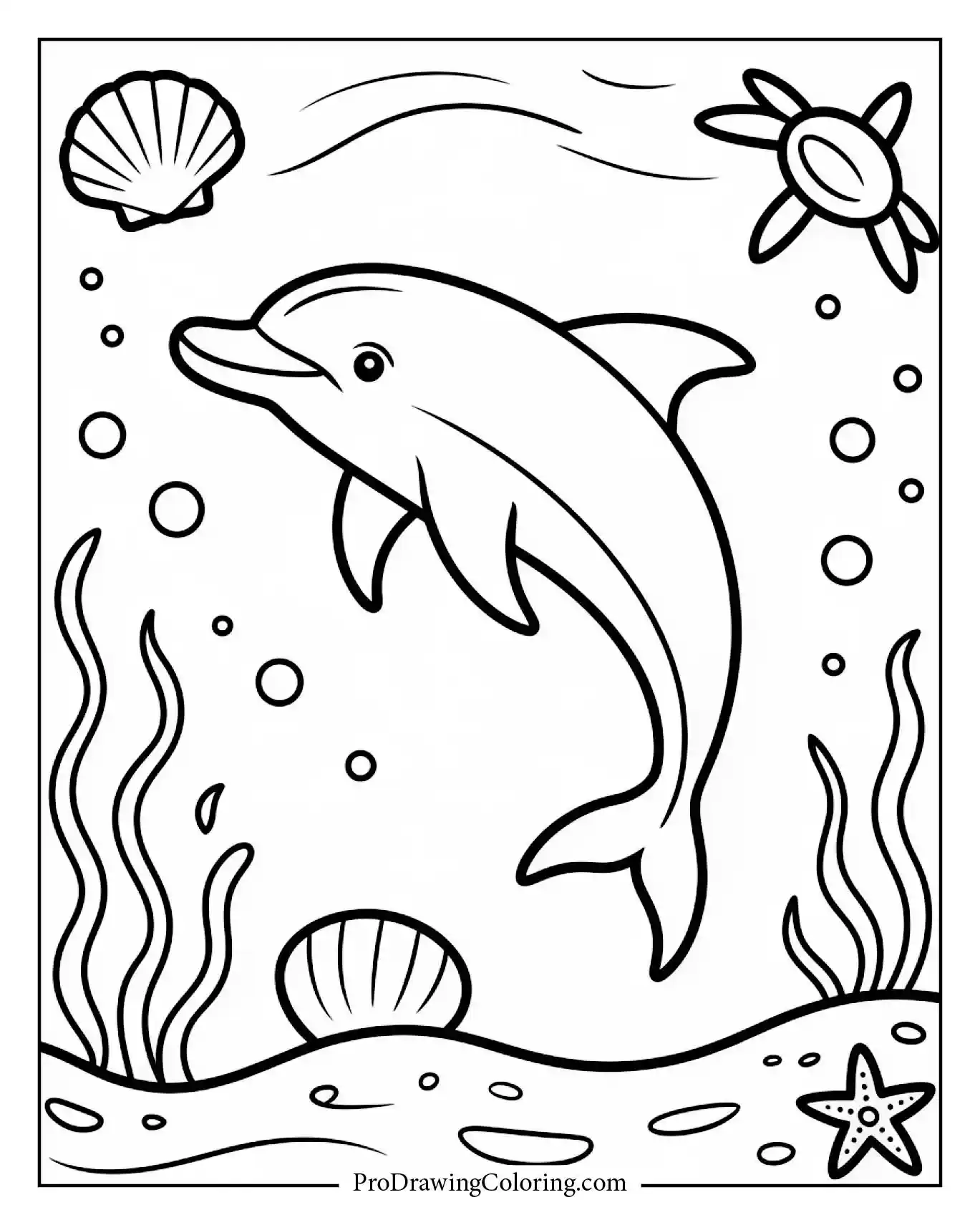 Charming dolphin playing with seashell