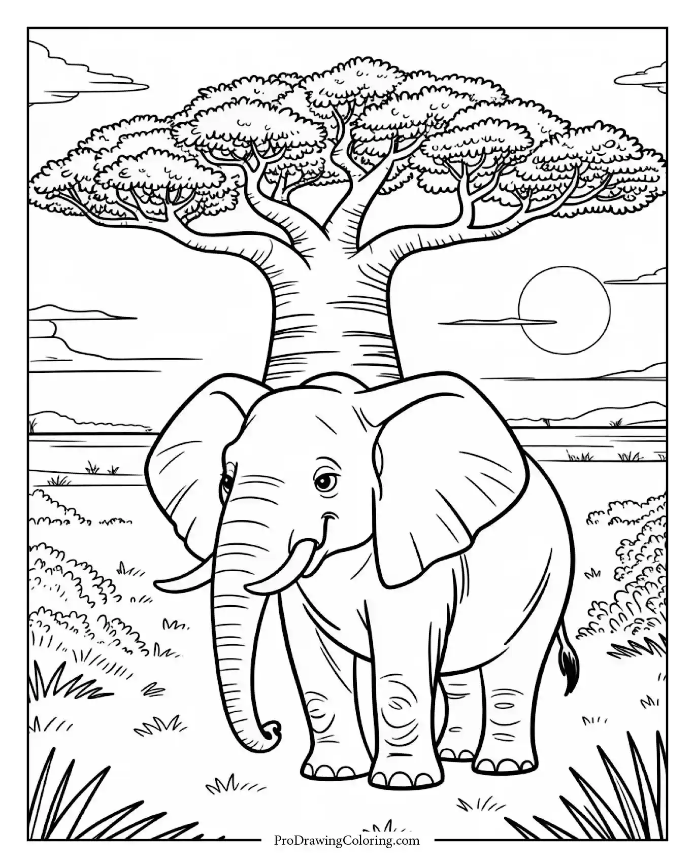 elephant savanna sunset Graceful elephant standing near baobab tree during sunset
