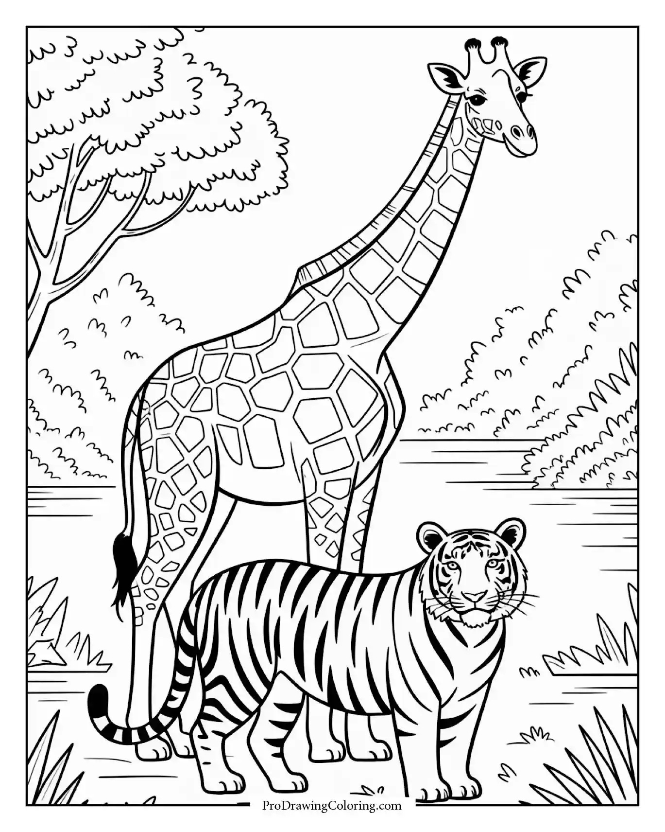 Giraffe And Tiger Near River Coloring Page Artistic giraffe standing beside tiger near river, detailed printable giraffe coloring sheet.