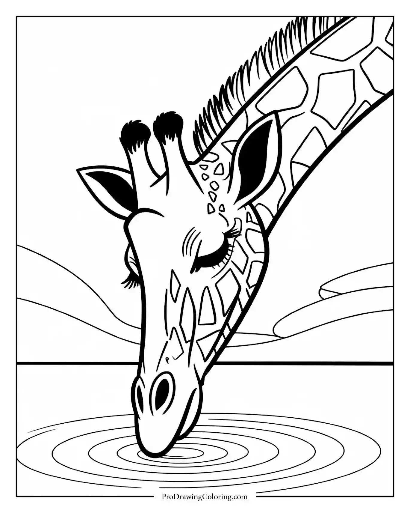 giraffe drinking water coloring page Cute giraffe drinking water, easy printable giraffe coloring page.