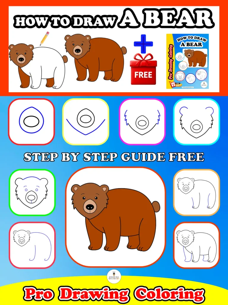 Bear final illustration showing a cute bear drawing result for this Pro Drawing Coloring lesson.