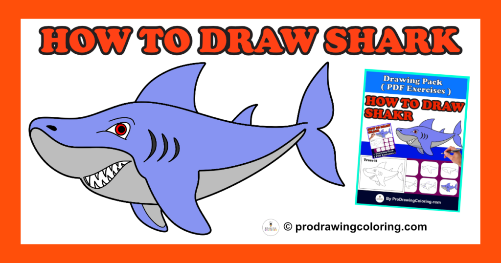 A complete easy guide on how to draw a shark for beginners featuring the final colored version and the step-by-step drawing pack.