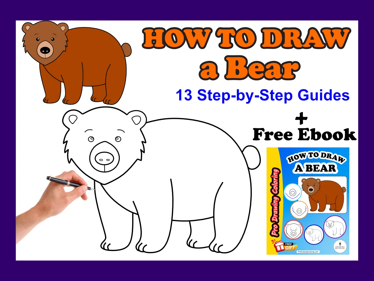 How to draw a bear step by step tutorial