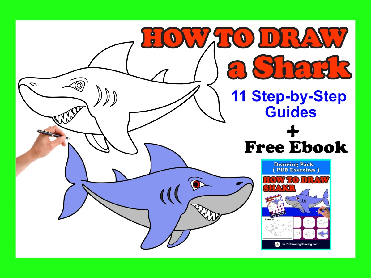How to draw a shark step by step tutorial