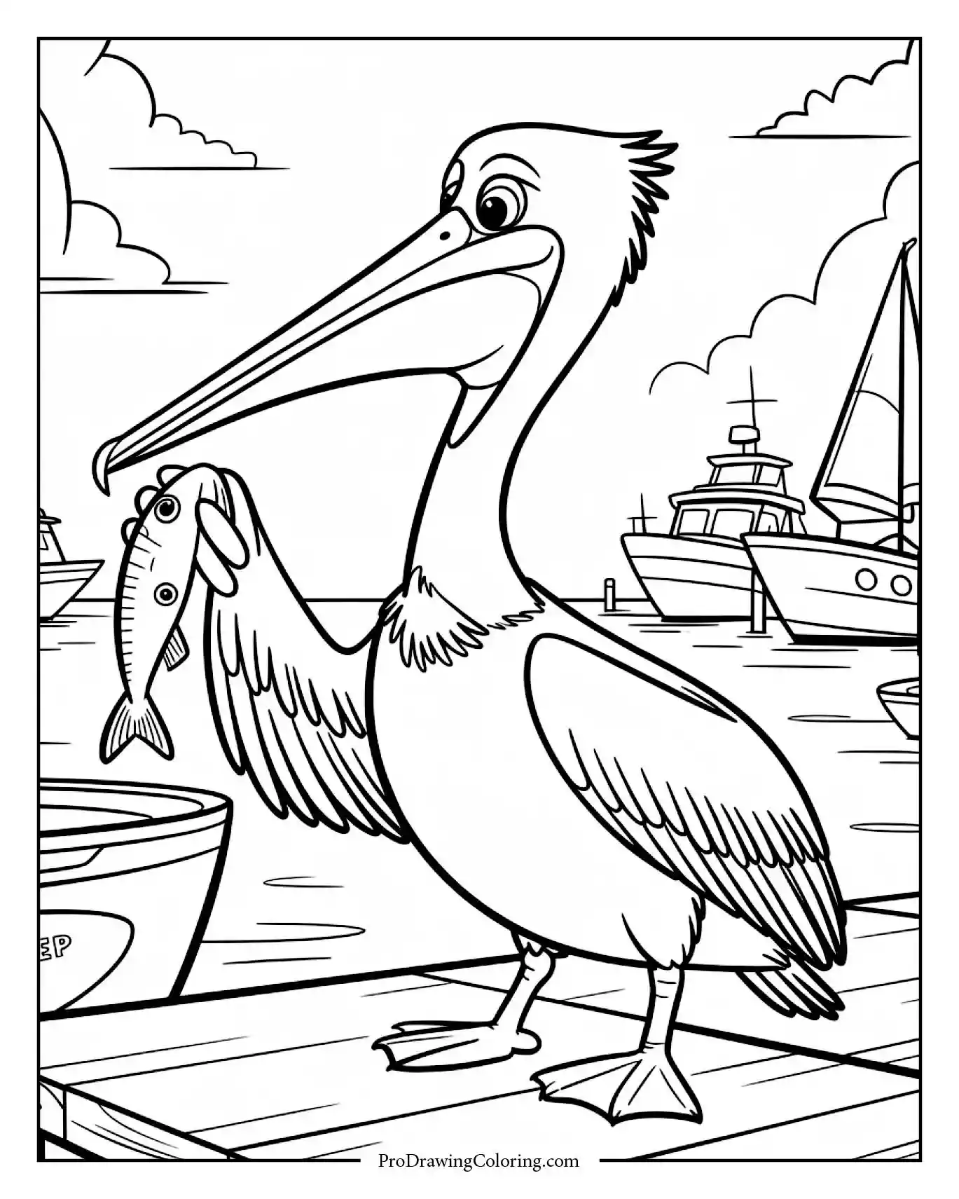 pelican bird coloring page pier printable