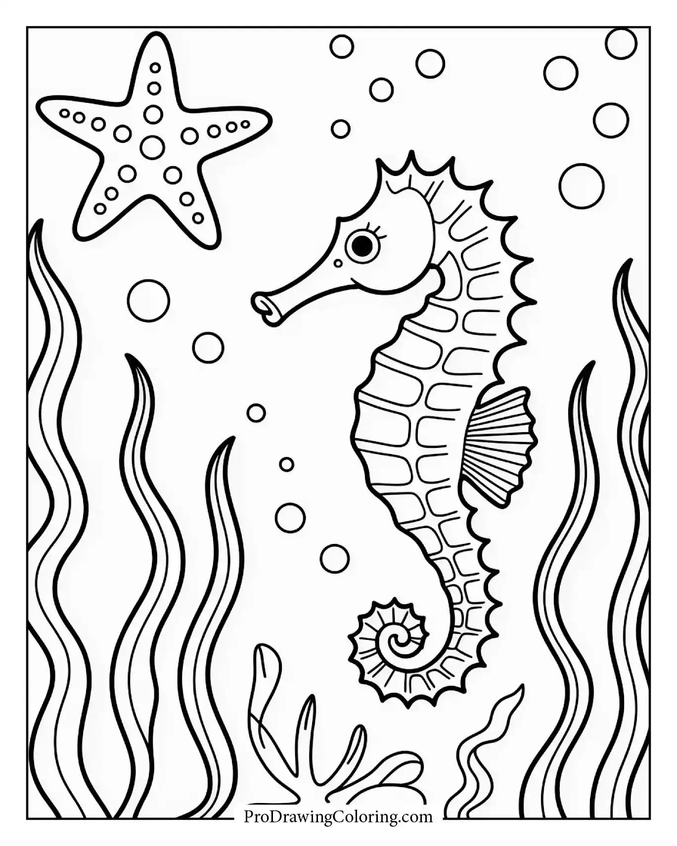 Cartoon seahorse and starfish with seaweed in a simple background