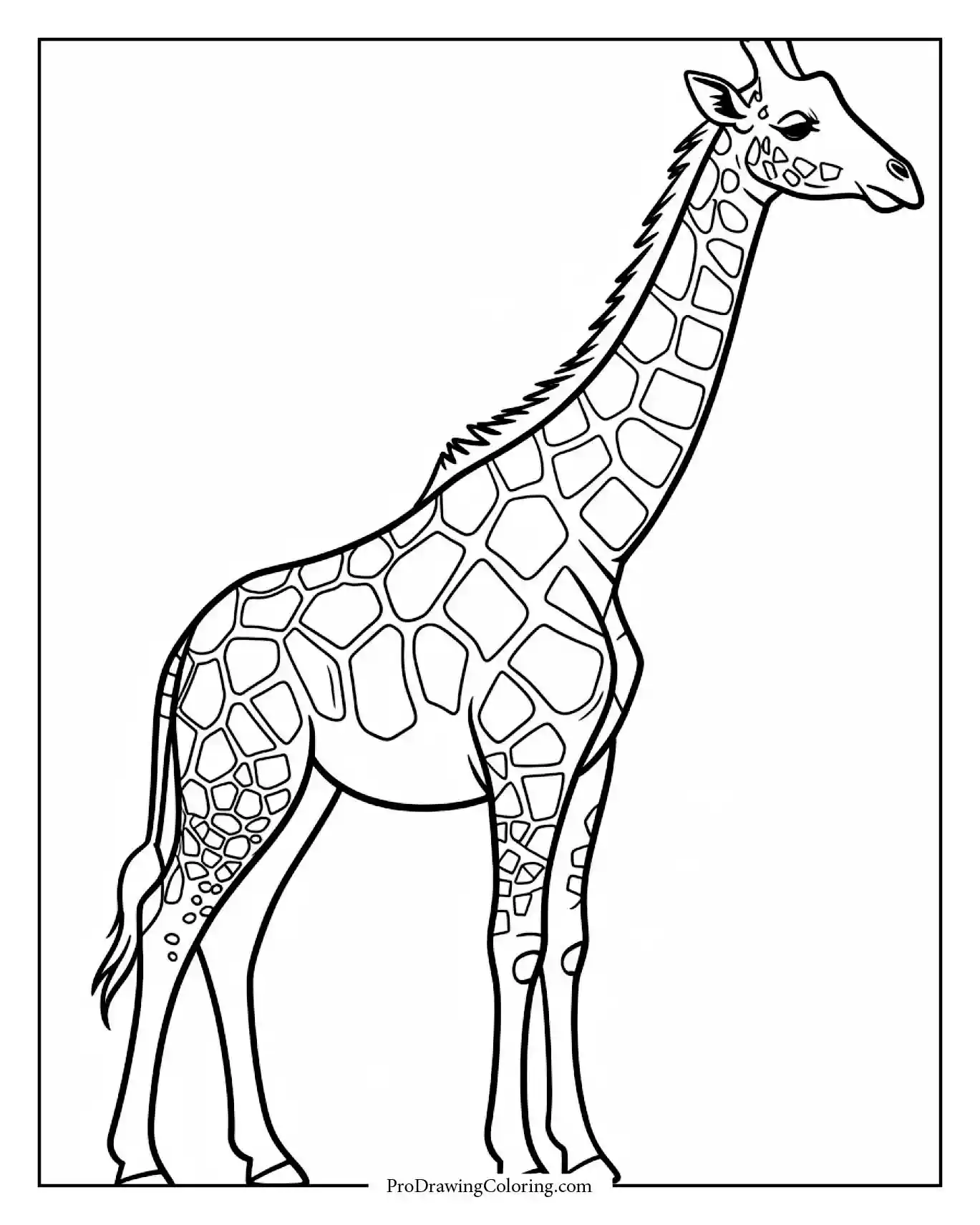 Simple Giraffe Standing Profile Coloring Page Easy giraffe coloring page with bold lines, great for kids.