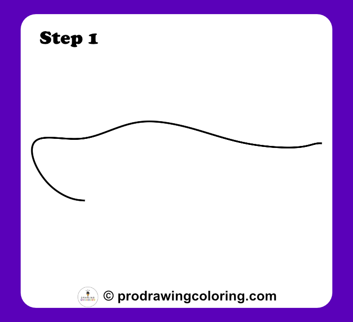 Starting a simple shark drawing with a single curved line for the back.