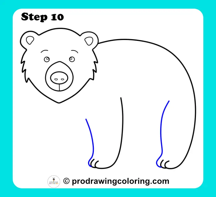 Bear legs drawn with straight vertical lines to finish the lower part of animal body.