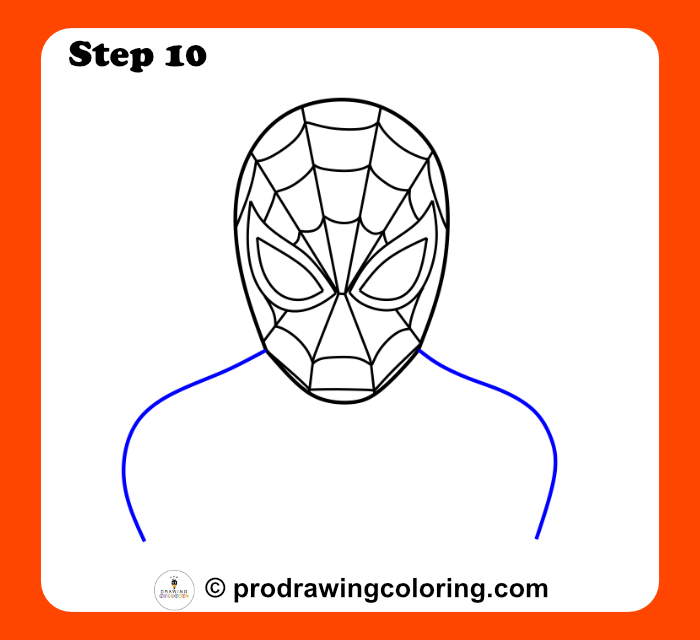 Broad shoulder curves for a step by step Spiderman drawing guide.