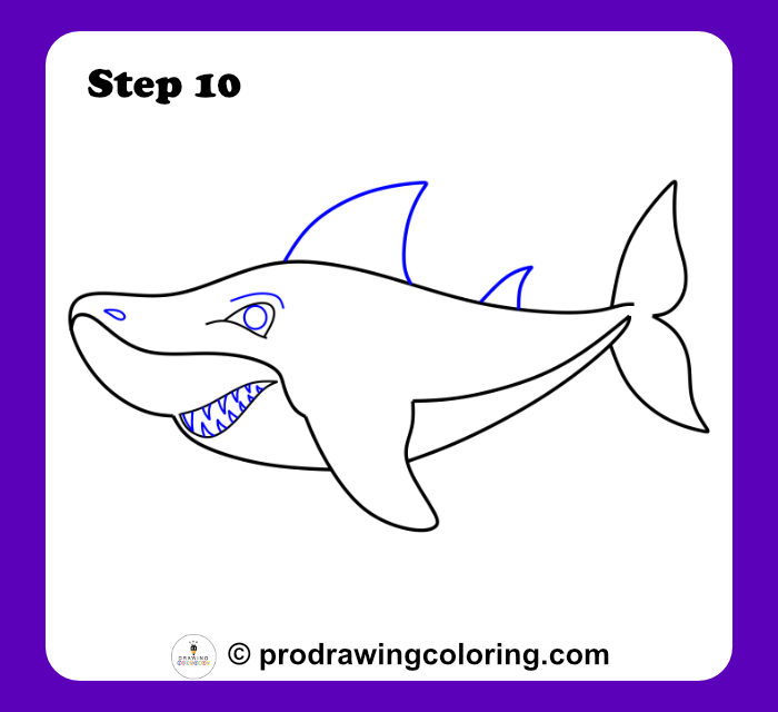 Placing the dorsal fin and gill slits on the side of the shark.