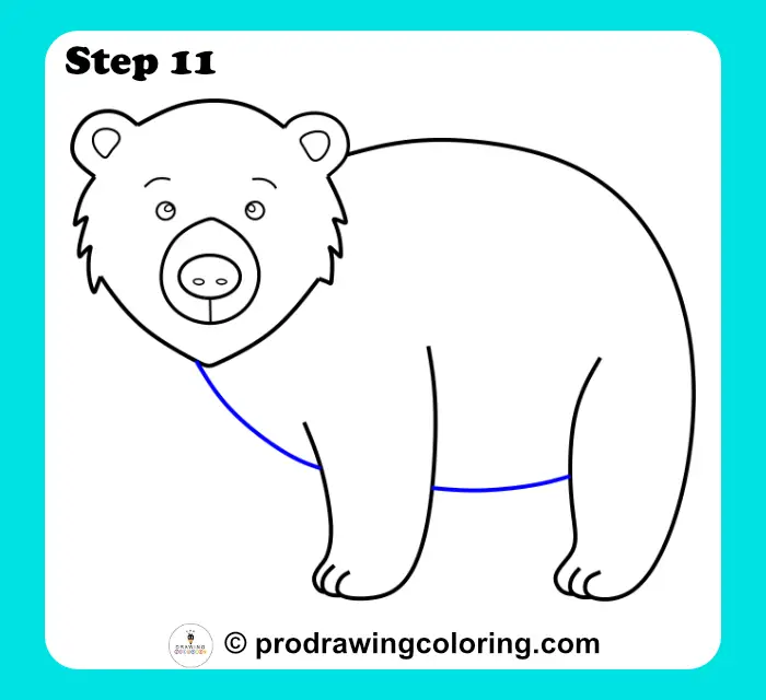 Bear belly and neck area sketched to connect the head and legs for the tutorial.