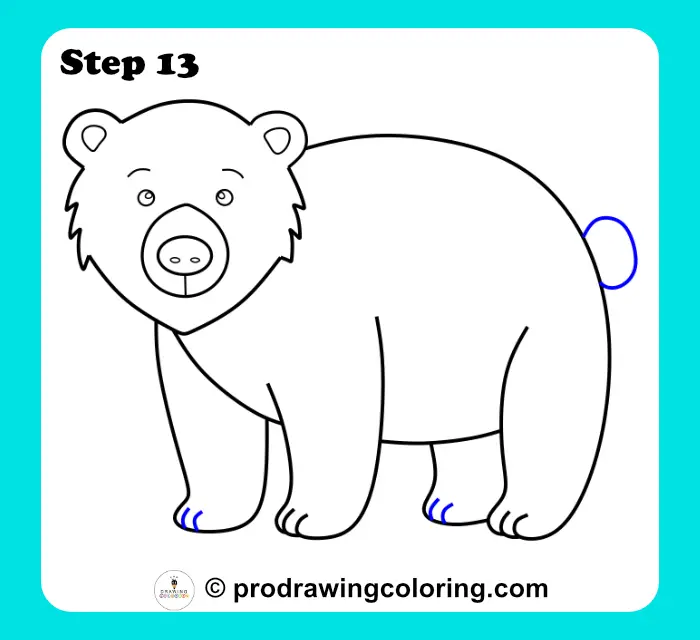 Bear tail and final paw details added to complete the entire animal sketch for beginners.
