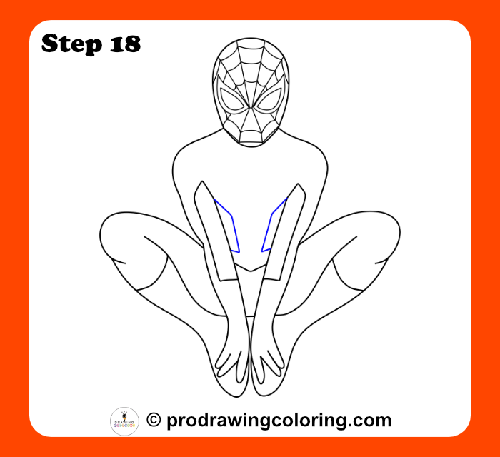 Inner costume lines for a professional Spiderman cartoon drawing.