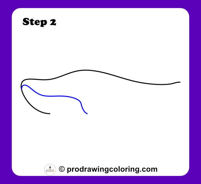 How to draw a shark mouth using a basic curved line under the snout.