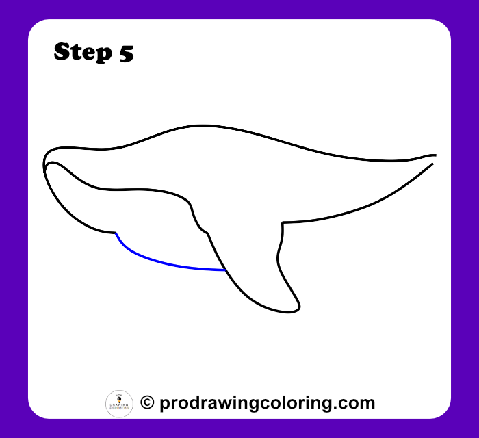 Connecting the jaw to the fin to complete the front shark silhouette.
