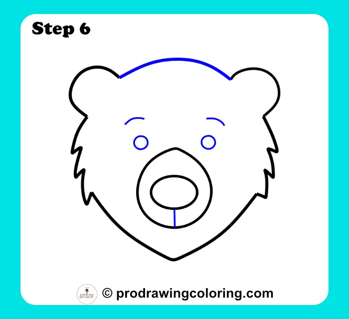 Bear eyes and top head curve drawn to complete the main facial features and structure.