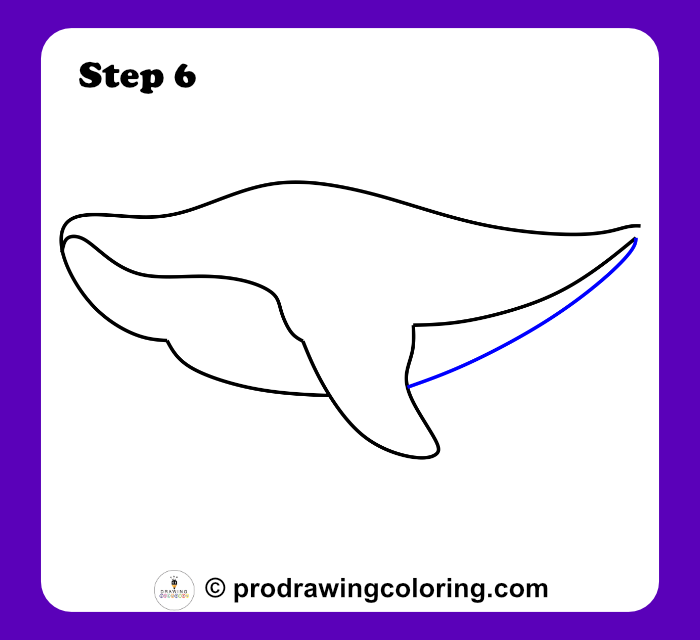 Shaping the narrow tail base for a realistic shark drawing outline.