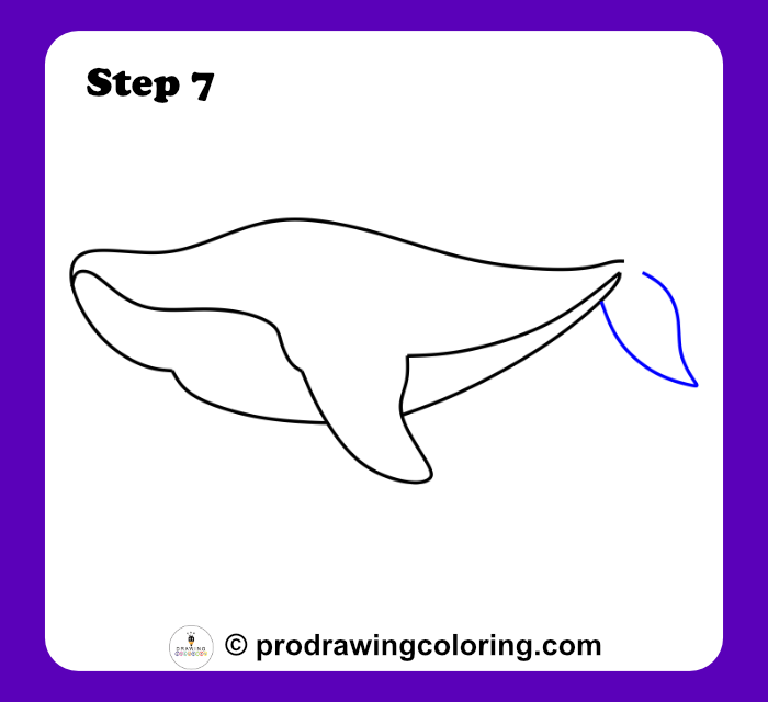 Drawing the lower part of the tail fin in this easy shark tutorial.
