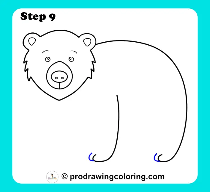 Bear paws illustrated with small rounded lines to show the toes on front legs.