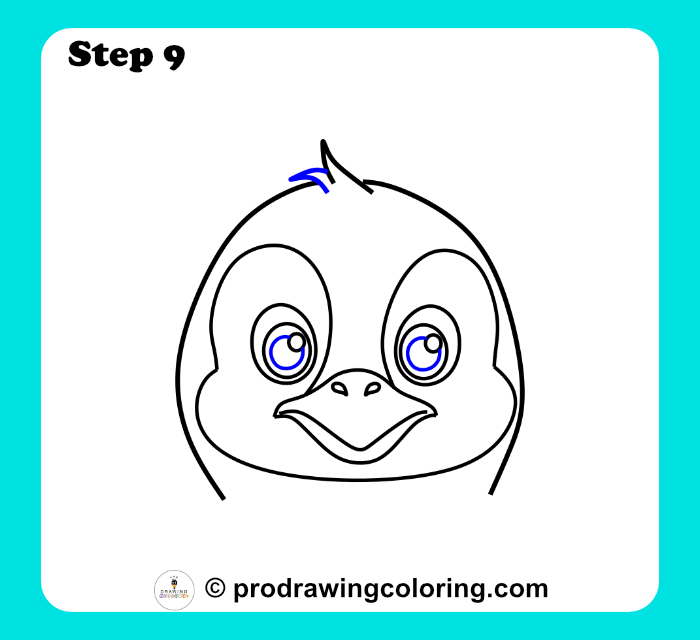 Penguin hair tuft finished with smooth rounded lines.