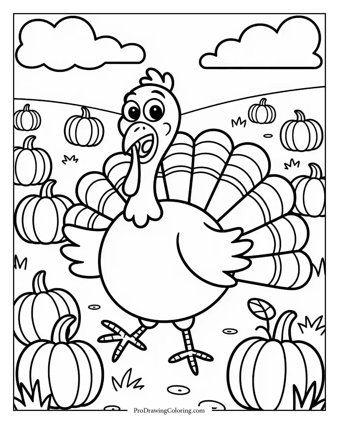 turkey pumpkin field sheet