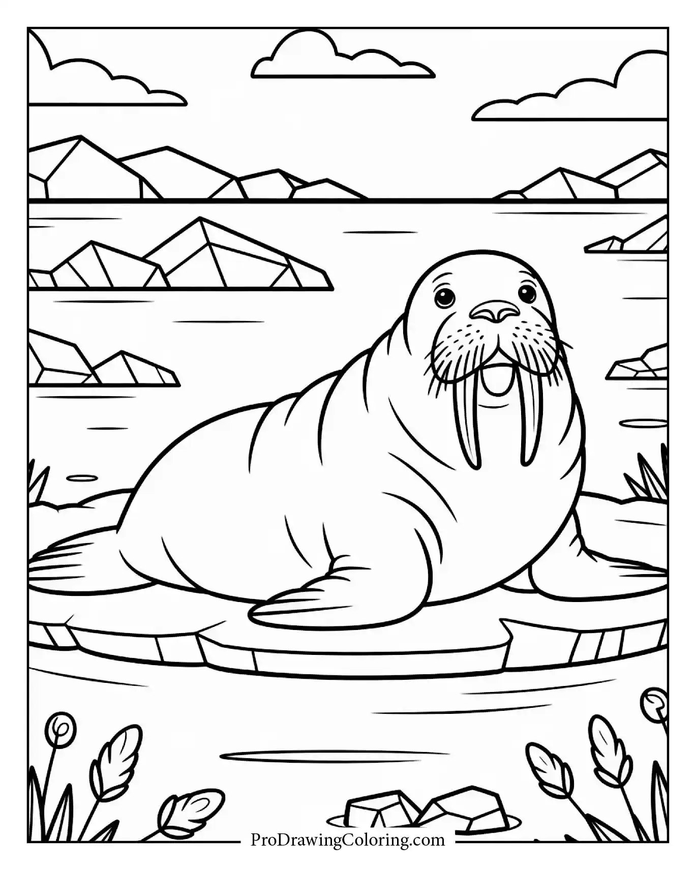 Walrus with tusks lying on ice in an easy cartoon style for children