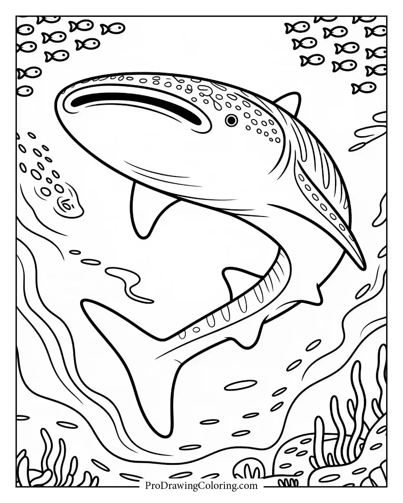 Whale shark swimming with small fishes